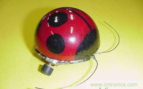 手把手教你自製甲殼蟲機器人