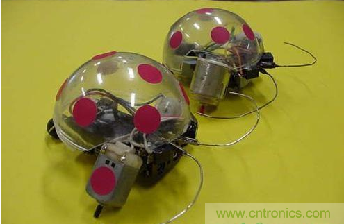 手把手教你自製甲殼蟲機器人