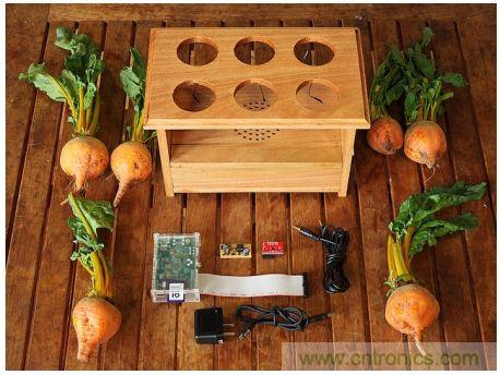 害怕聖誕節沒創意？看看發燒友們怎麼過聖誕