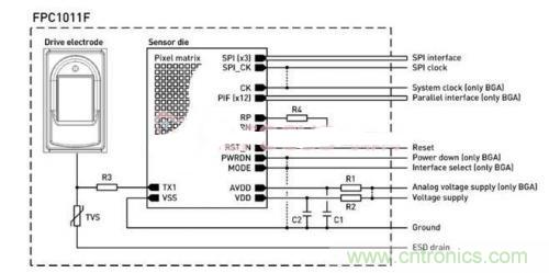 指紋識別新看點：大學生體育鍛煉管理係統設計