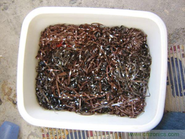 藝術源於生活，用生活中的物件也能製作磁流體