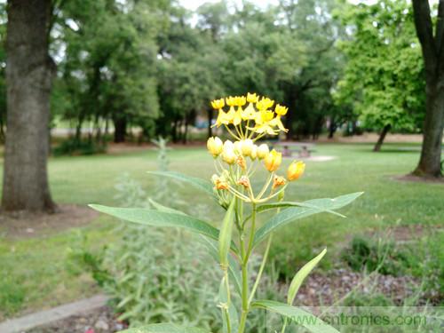 無數的拍攝，隻為成就一個完美回憶