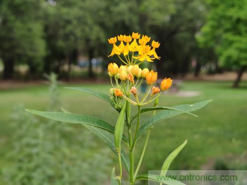 無數的拍攝，隻為成就一個完美回憶