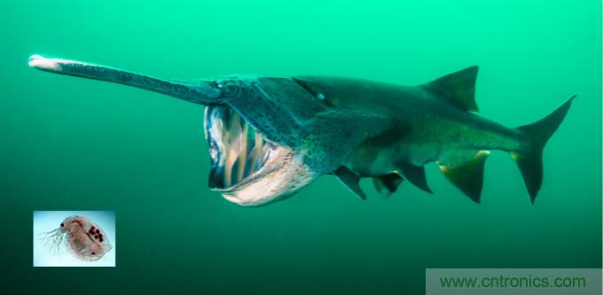 檢測不到信號，是加點噪聲？還是濾除噪聲？