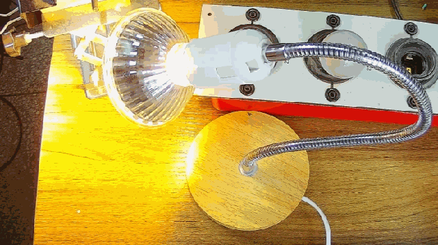 電燈泡內通有交流電，為什麼看不到燈泡在閃爍？