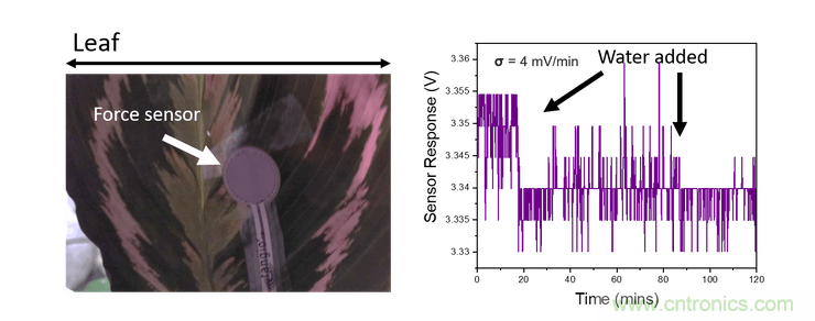 比較用於智能灌溉係統的土壤濕度傳感器