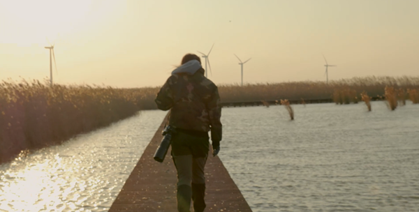 世界濕地日：海康威視攜手一個地球自然基金會，在上海守護這個重要“驛站”