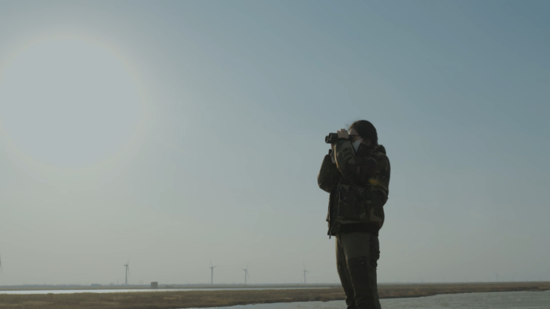 世界濕地日：海康威視攜手一個地球自然基金會，在上海守護這個重要“驛站”