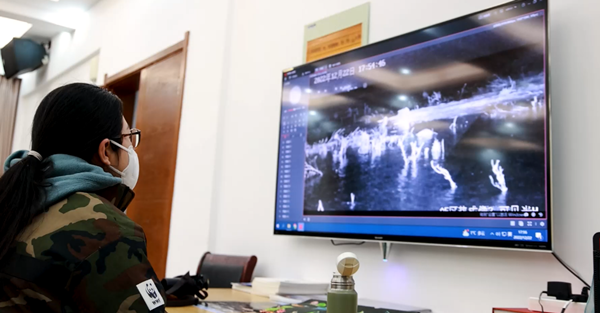 世界濕地日：海康威視攜手一個地球自然基金會，在上海守護這個重要“驛站”