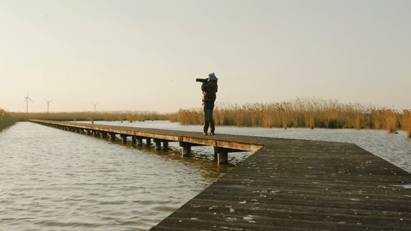 世界濕地日：海康威視攜手一個地球自然基金會，在上海守護這個重要“驛站”