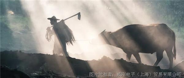 智慧農業大有可為，“數字種地”更輕鬆