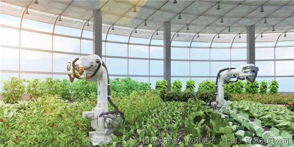 智慧農業大有可為，“數字種地”更輕鬆