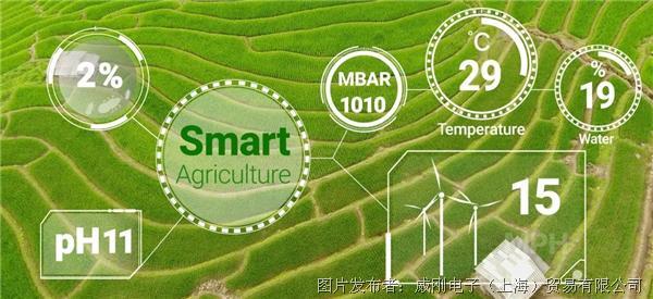 智慧農業大有可為，“數字種地”更輕鬆