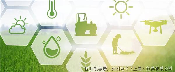 智慧農業大有可為，“數字種地”更輕鬆